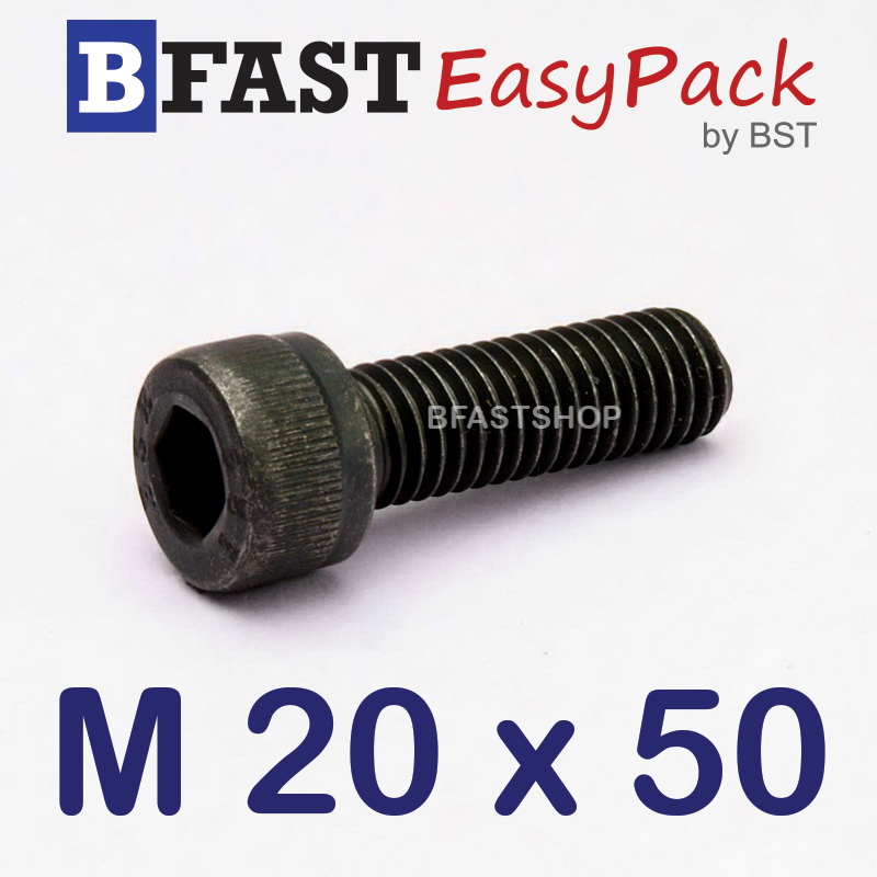 สกรูหัวจมดำ M 20 x 50 *เกลียวตลอด*
