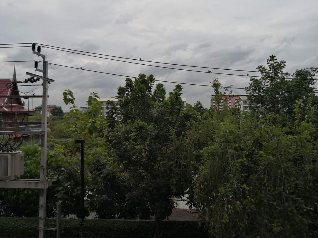 ให้เช่าคอนโด ดีคอนโด แคมปัส รีสอร์ท บางนา DCONDO CAMPUS RESORT Bangna ห้องกว้าง พื้นที่ 30 ตร.ม. ตึก A ชั้น 3 ห้องแต่งครบพร้อมอยู่