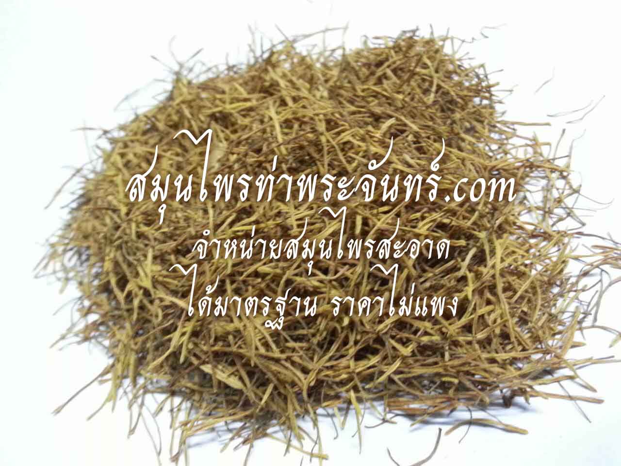 บัวหลวง