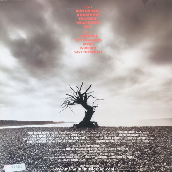 Nik Kershaw - The Riddle