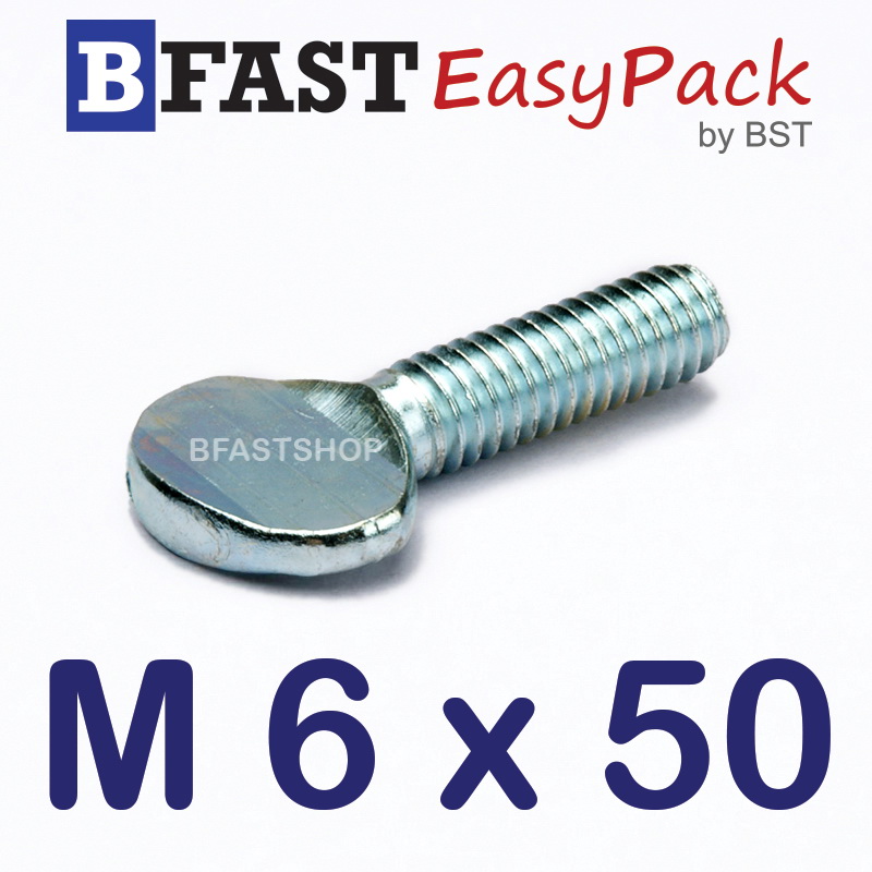 สกรูหางปลาแบน M6 x 50 (4 ตัว/ถุง)