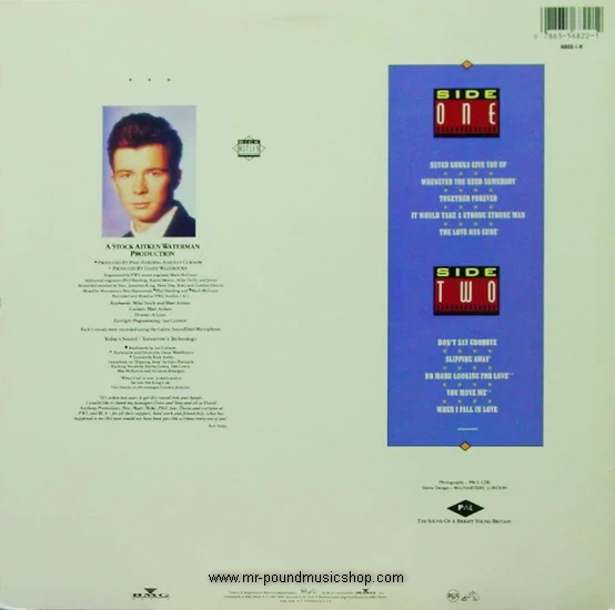 Rick Astley - Whenever You Need Somebody