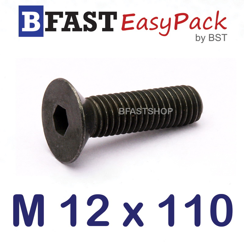 สกรูหัวจมเตเปอร์ดำ M 12 x 110
