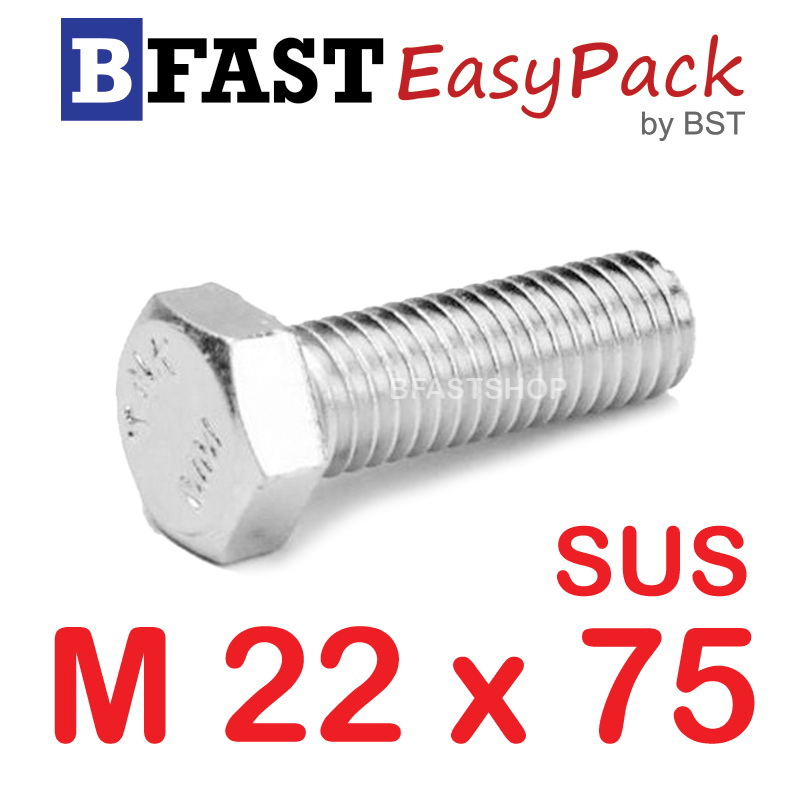 สกรูหัวเหลี่ยมสแตนเลส M22 x 75