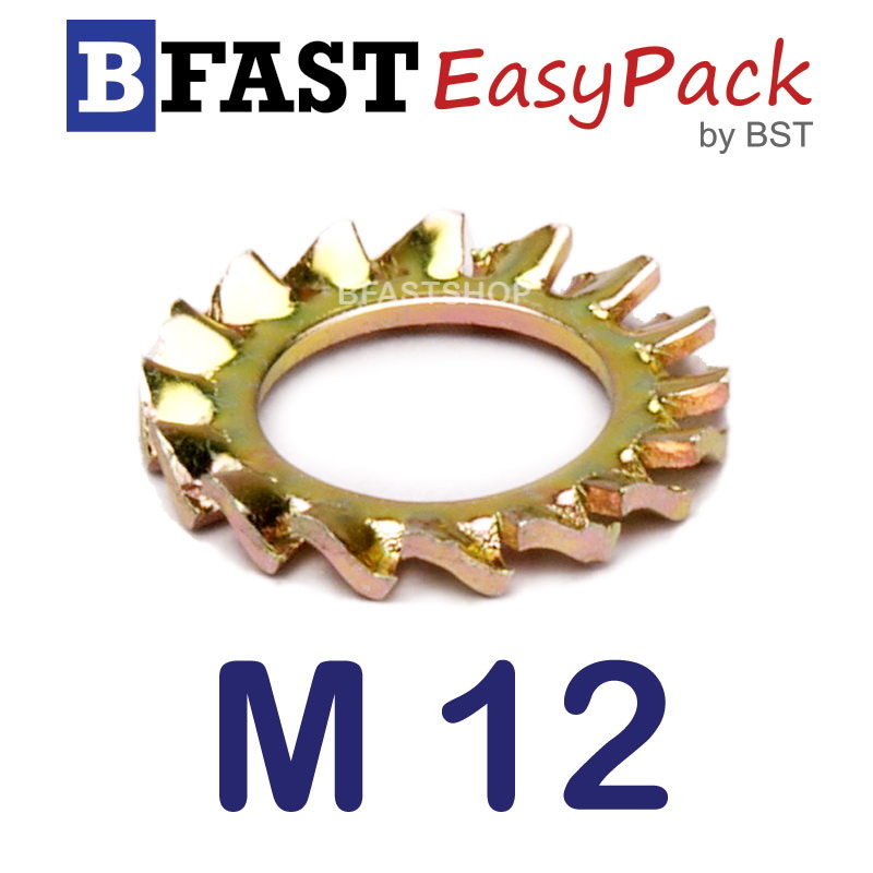 แหวนจักรถึ่นอก M12 ( 8 ตัว/ถุง)