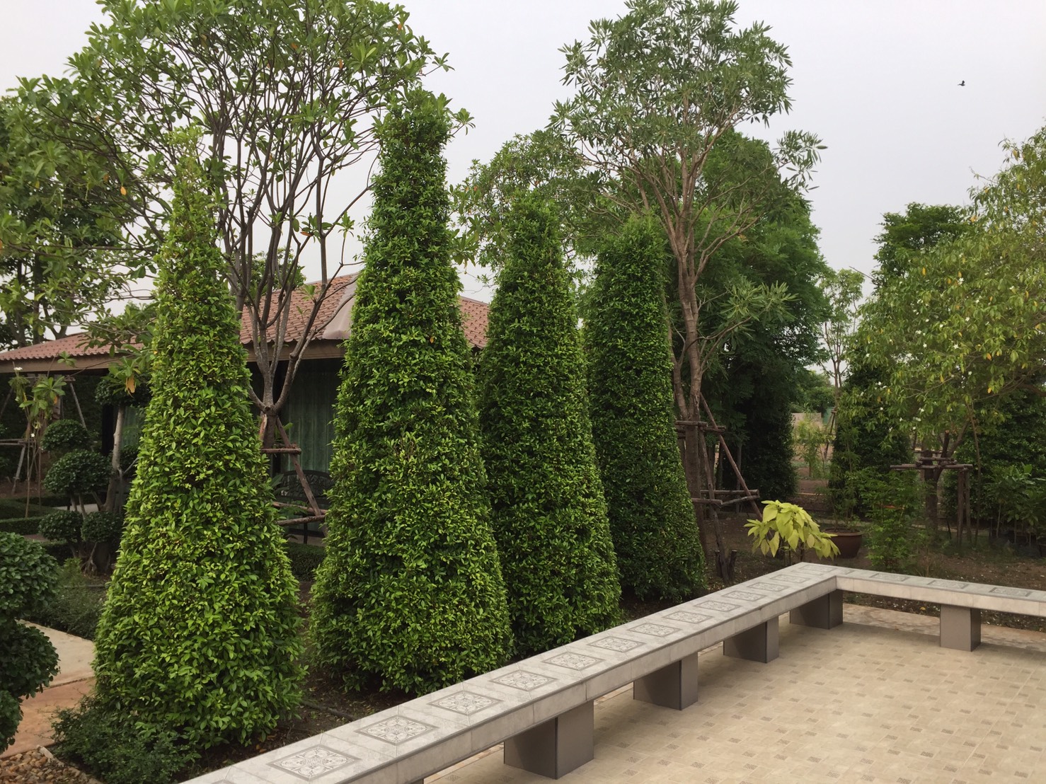 ขายบ้านเดี่ยวชั้นเดียวสไตล์รีสอร์ท 3 ห้องนอน 3 ห้องน้ำ ขนาด 400 ตร.วา พร้อมเรือนรับรองแยกต่างหาก เนื้อที่ใช้สอย 100 ตร.วา
