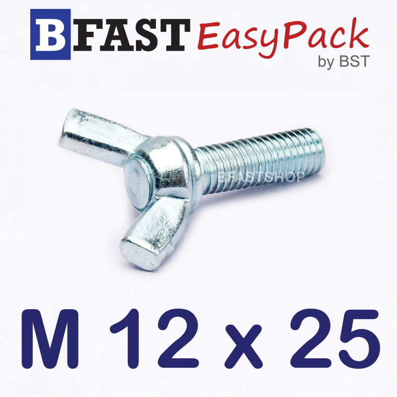 สกรูหางปลาหูกระต่าย M12 x 25 (1 ตัว)