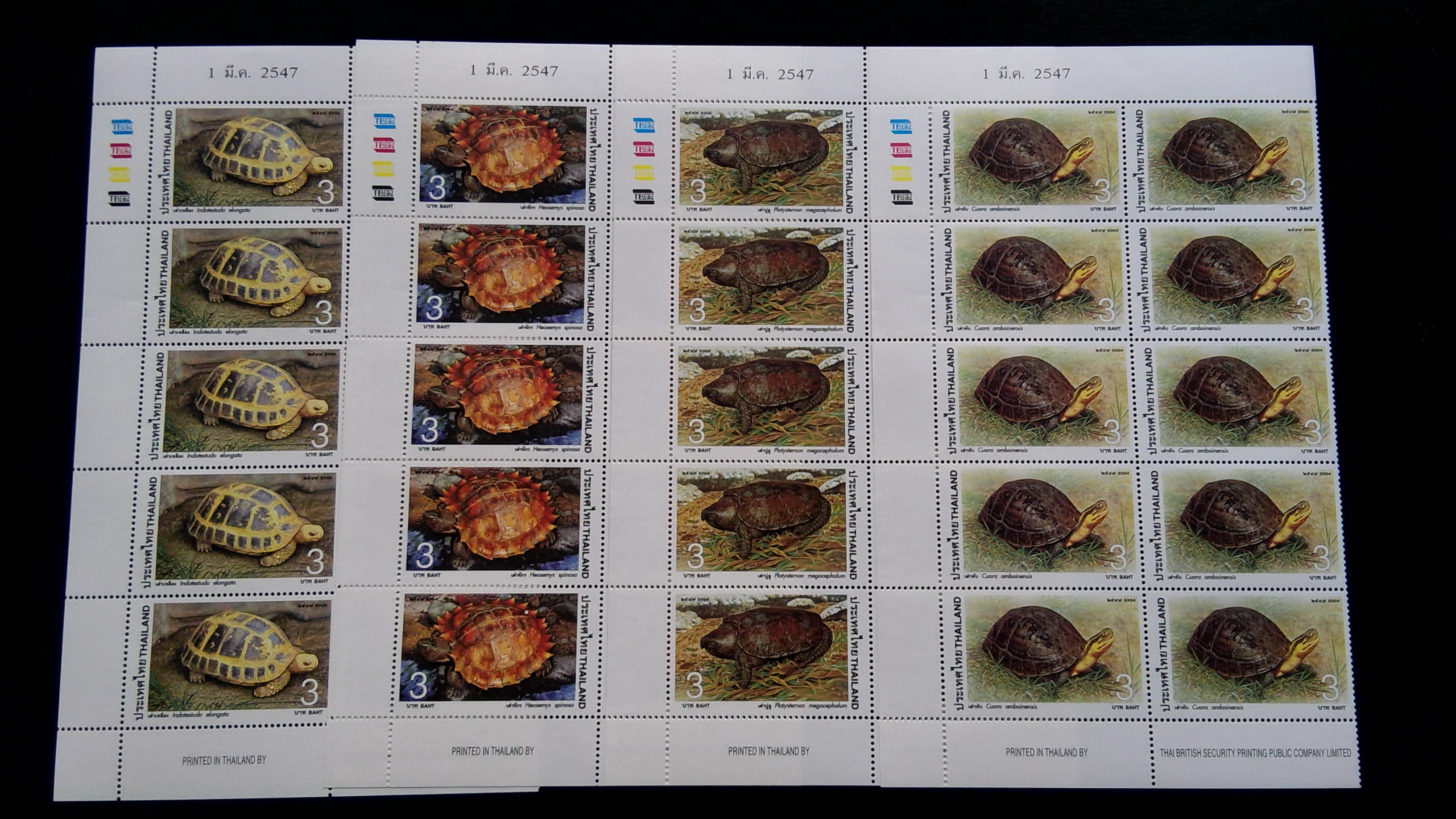 ชุดเต่า ปี 2547 บล็อค 10