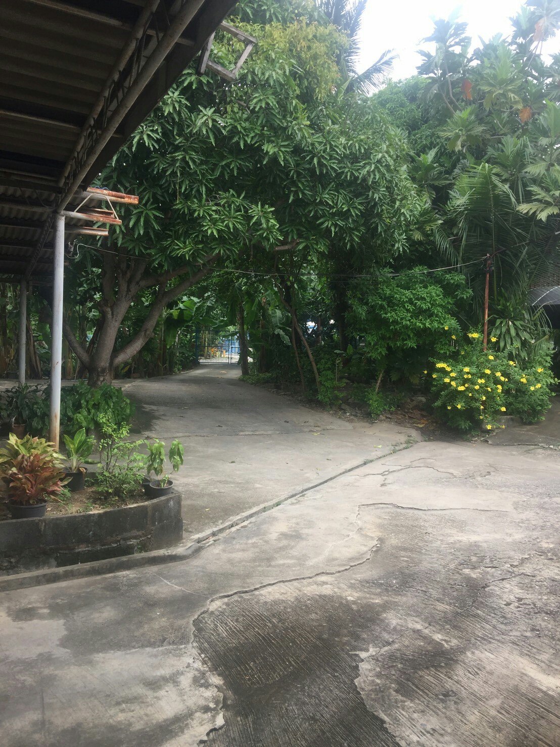 ขายที่ดินติดแม่น้ำเจ้าพระยา เนื้อที่ 4 ไร่ ส่วนเกินที่เป็นกรรมสิทธ์ที่ยื่นในน้ำ 2 ไร่ หน้ากว้างด้านแม่น้ำ 40 เมตร ลึก 150 เมตร