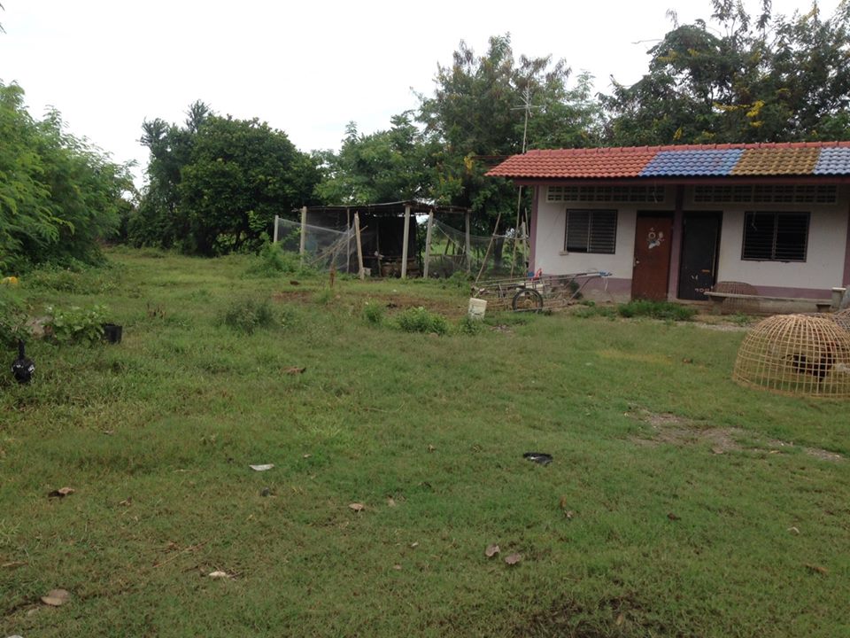 ขายที่ดิน พร้อมห้องแถว 2 ไร่ 3 งาน 80 ตารางวา ติดถนน ติดคลองชลประทาน ตำบล คลองตาคต อำเภอ โพธาราม จังหวัดราชบุรี ราคา 2.5 ล้าน