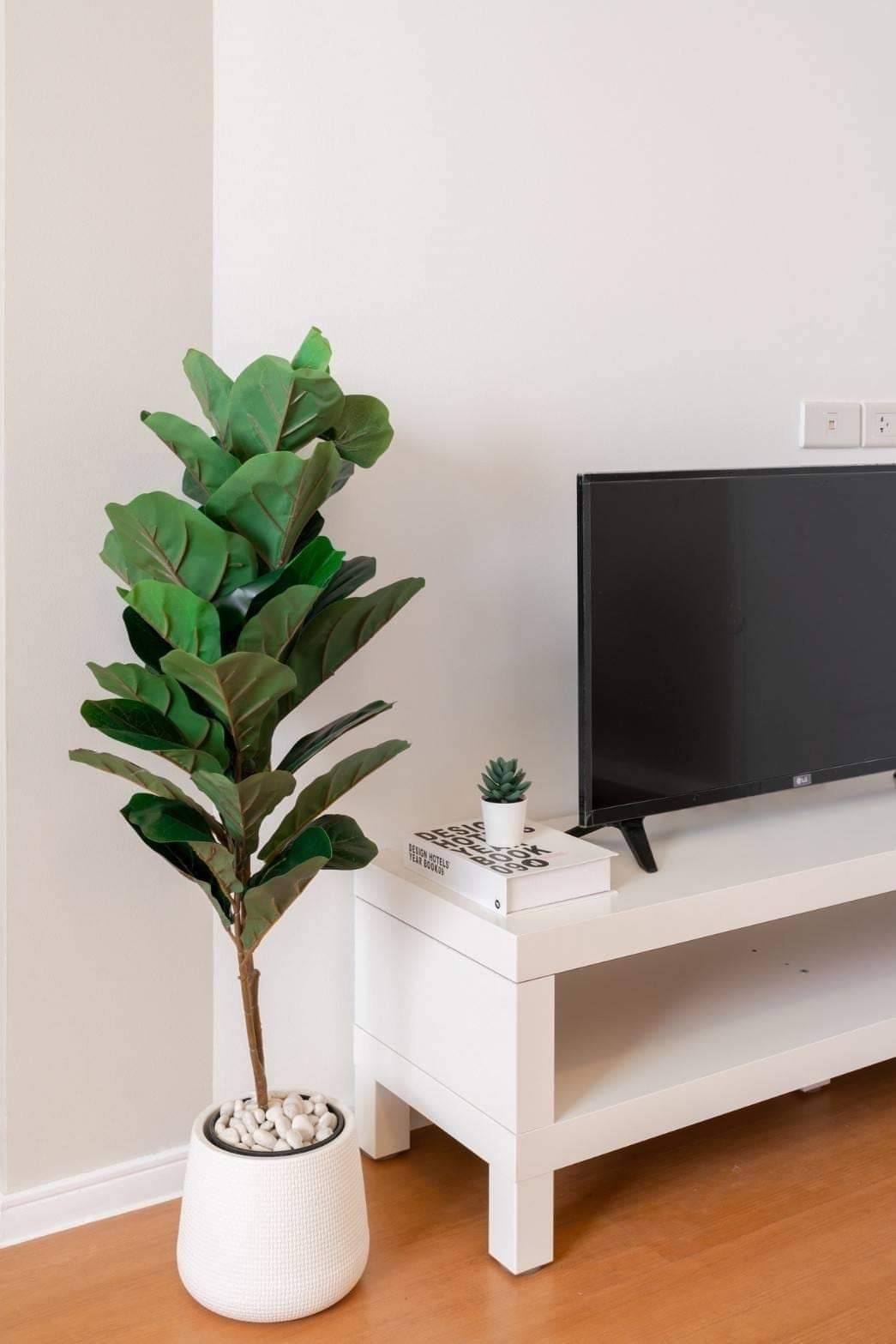 ให้เช่าคอนโด Lumpini Mixx Thepharak – Srinakarin ลุมพินี มิกซ์ เทพารักษ์ - ศรีนครินทร์