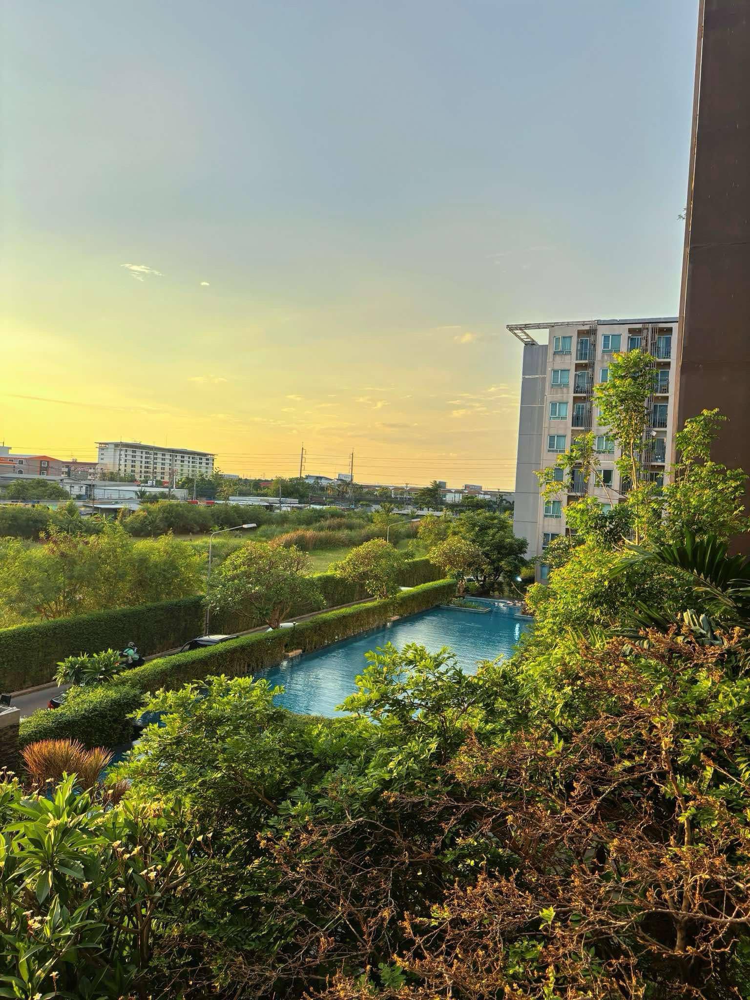 🏡 ให้เช่าคอนโด IRIS AVENUE อ่อนนุช – ลาดกระบัง ห้องวิวสระว่ายน้ำ สวย พร้อมเข้าอยู่!