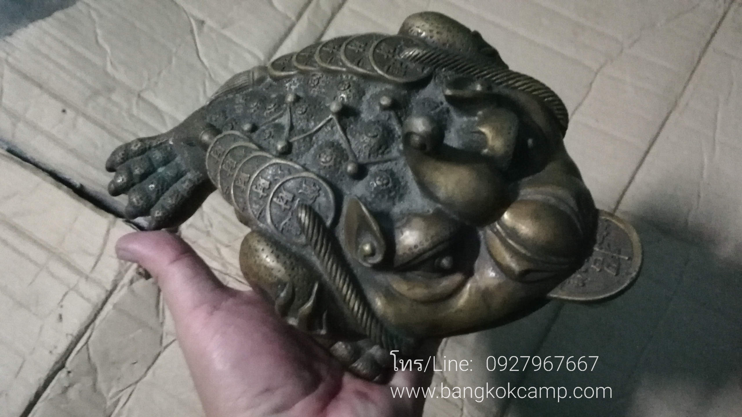 คางคกสามขาคาบเหรียญ (กิมเซียมซู) คางคก3ขาทองเหลือง (2)