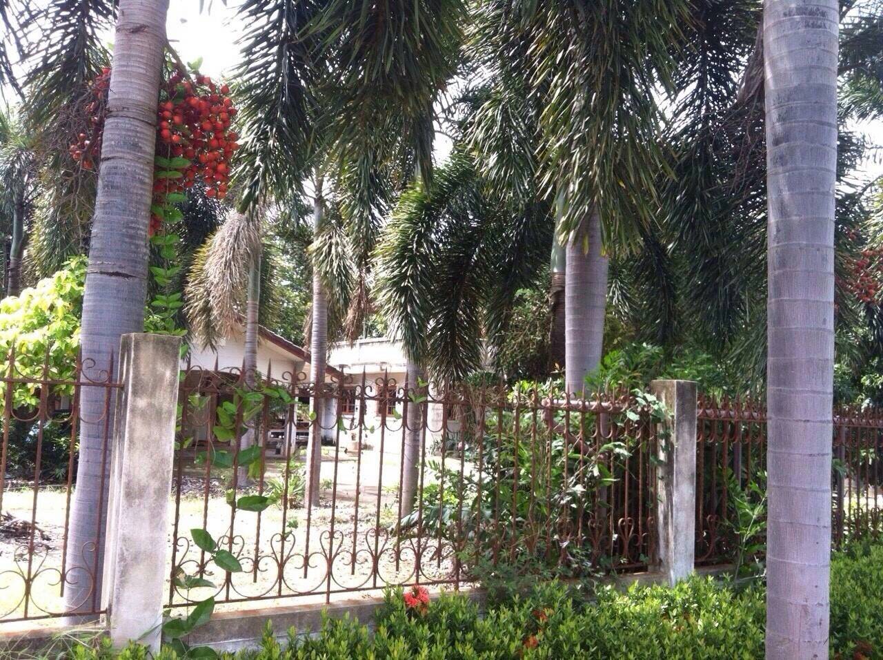 ขายที่ดินพร้อมสิ่งปลูกสร้างพื้นที่ 96 ไร่เศษ ติดถนนเลียบคลอง12 รังสิต-นครนายก