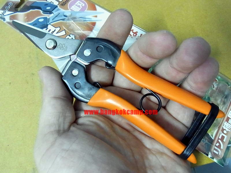 กรรไกรตัดกิ่ง ญี่ปุ่น Saboten ปากตรง ใหม่ แท้ Made in JAPAN (No. A-6)