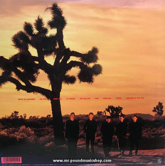 The Square - Yes, No.