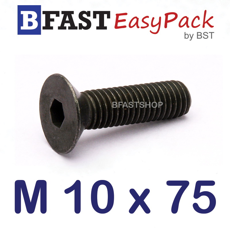 สกรูหัวจมเตเปอร์ดำ M 10 x 75