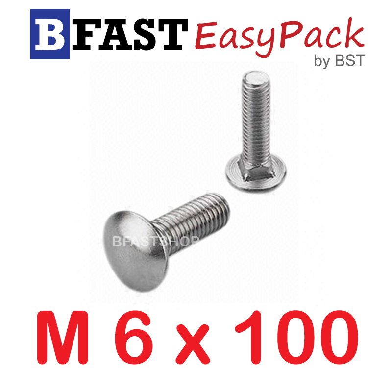 สกรูหัวกลมคอเหลี่ยมสแตนเลส M6 x 100 (2 ตัว/ถุง)