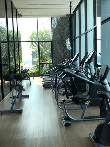 ให้เช่าคอนโด Life Sukhumvit 48 (ไลฟ์ สุขุมวิท 48) 1 ห้องนอน 1 ห้องน้ำ ขนาด 33 ตรม ชั้น 28 ห้องใหม่สด