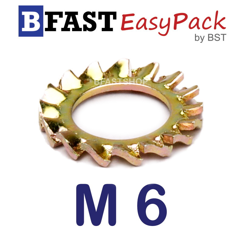 แหวนจักรถึ่นอก M6 ( 15 ตัว/ถุง)