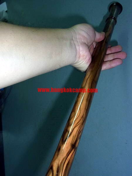 ไม้มงคลหายาก... ไม้ตะพด(ไม้มะริด)