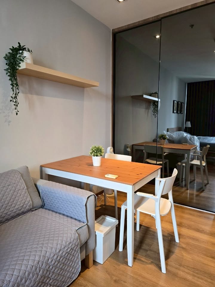 🌟 เช่าด่วน! Park 24 (พาร์ค 24) คอนโดใจกลางสุขุมวิท 24 ทำเลทอง วิวสวนเบญฯ สุดร่มรื่น ไม่โดนแดดบ่าย พร้อมอยู่🔥