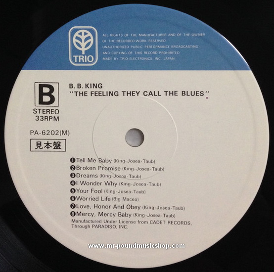 B.B. King - The Feeling They Call The Blues - The Time Of B.B. King Vol.1