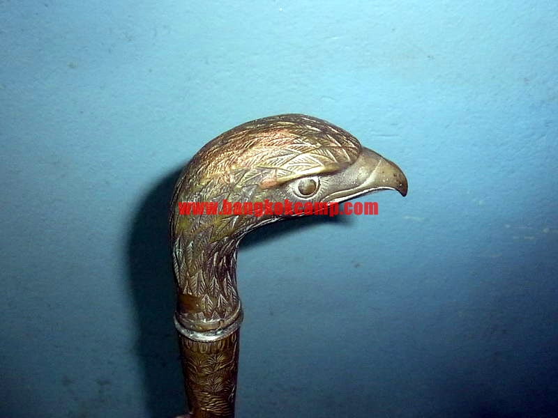 ไม้เท้าทองเหลือง หัวนกอินทรีย์ ซ่อนมีด