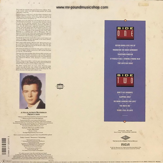 Rick Astley - Whenever You Need Somebody