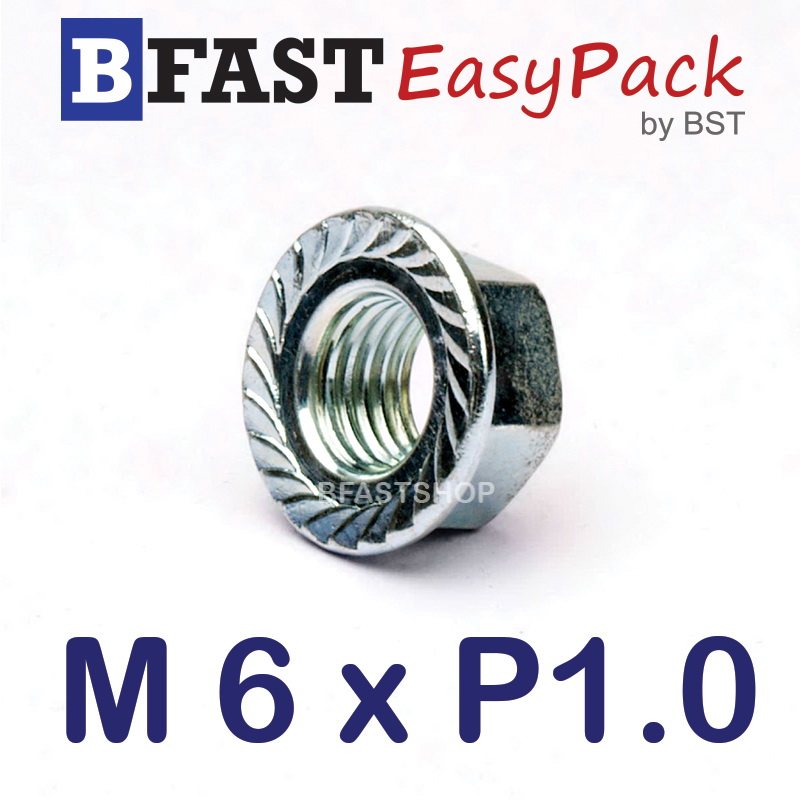 หัวน็อตจาน M6 x P1.0 (20 ตัว/ถุง)