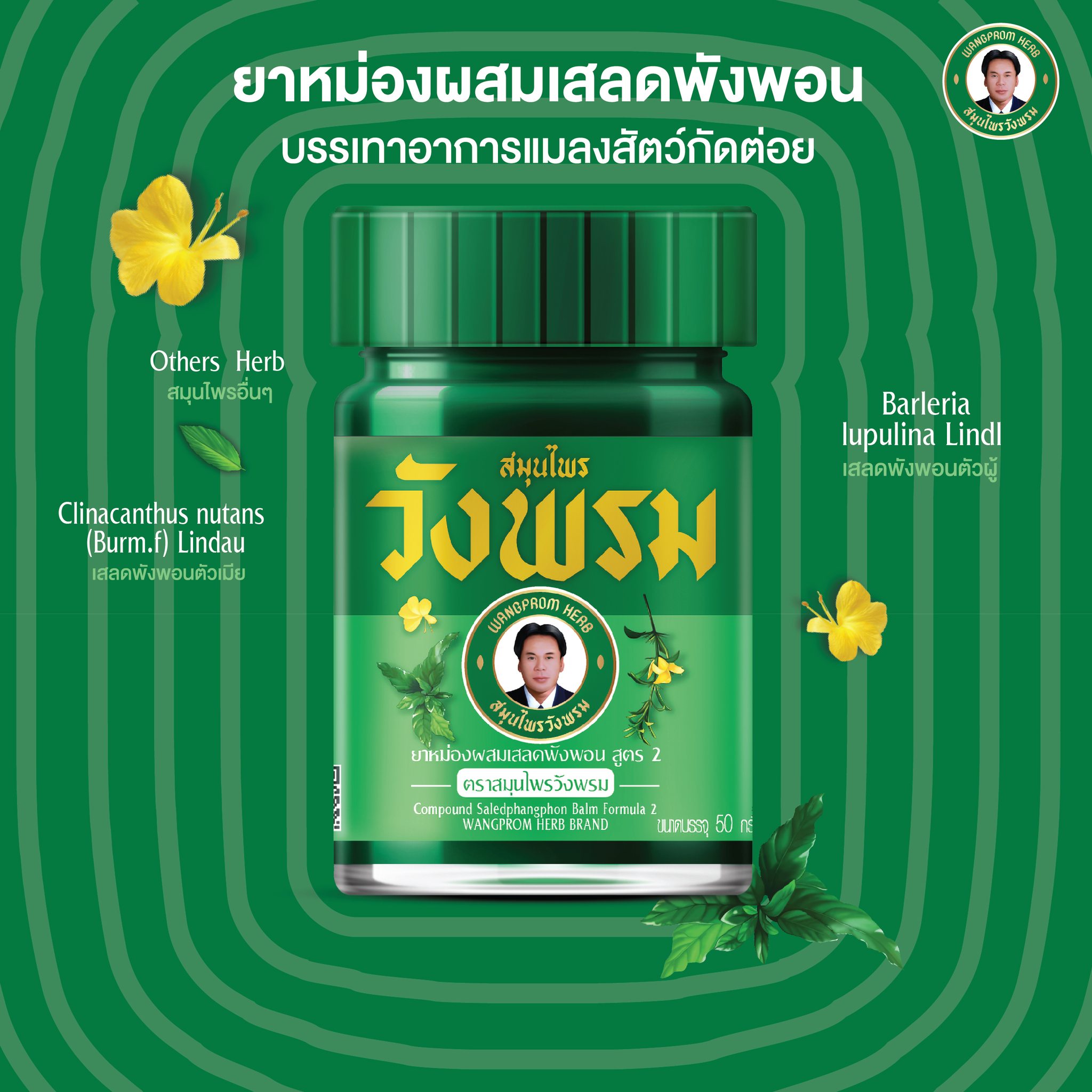 วังพรม ยาหม่องสูตรเสลดพังพอน 50g.