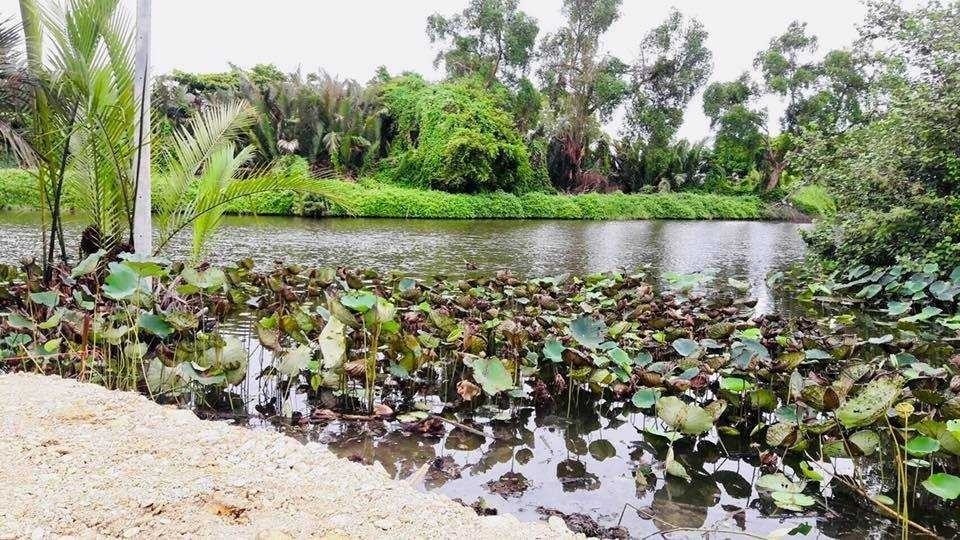 ขาย//ให้เช่า ที่ดินบ้านแพ้ว จ. สมุทรสาคร ติดคลองสวยถมแล้ว ติดคลอง ทำโกดัง เก็บสินค้า ร้านอาหาร ลานจอดรถ