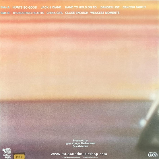 John Cougar - American Fool