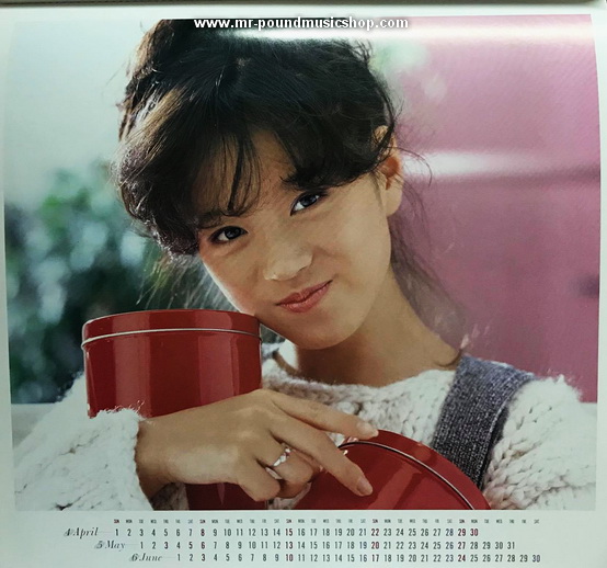 Akina Nakamori - Best Album Memories