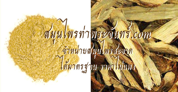 สมุนไพร มะเดื่อชุมพร / มะเดื่อุทุมพร
