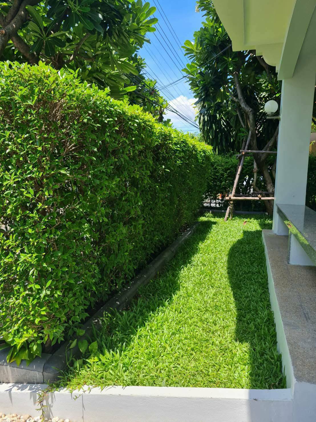 บ้านเดี่ยวให้เช่า หมู่บ้านมัณฑนา ศรีนครินทร์ (Montana Srinakarin Village) ราคาเช่า 43,000 บาท/เดือน