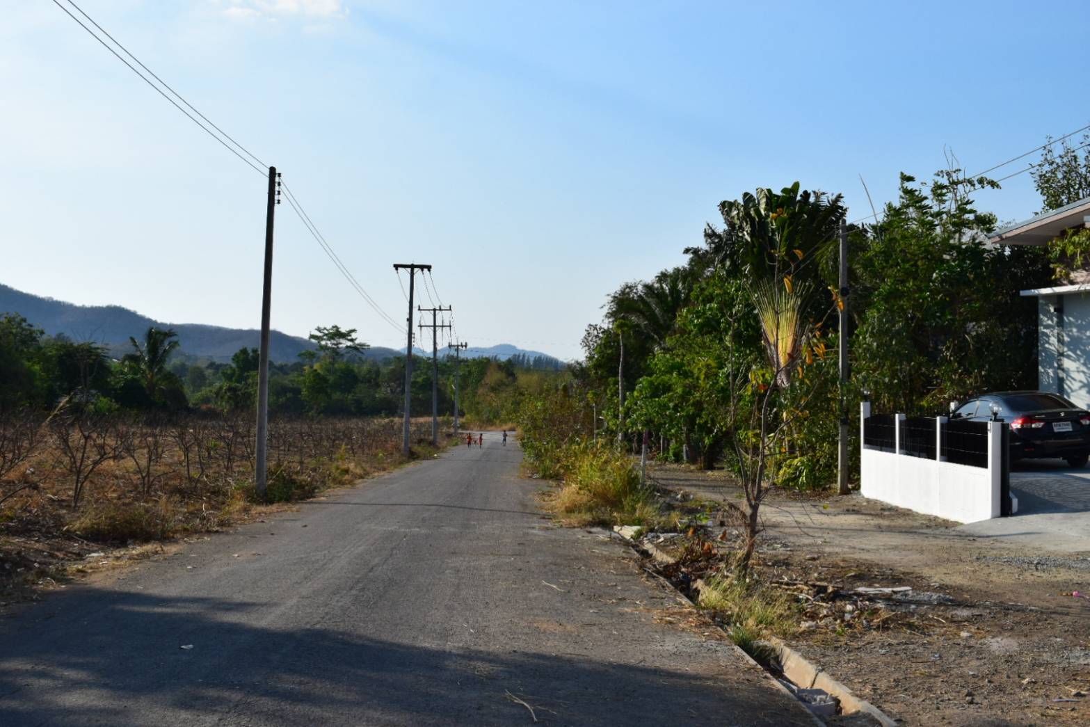 ขายบ้านเดี่ยวชั้นเดียวสร้างใหม่ เขาใหญ่ วิวสวย วิวภูเขา ทำเลดีห่างโบนันซ่า เขาใหญ่ 300 ม