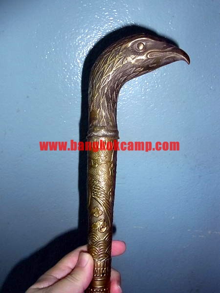 ไม้เท้าทองเหลือง หัวนกอินทรีย์ ซ่อนมีด