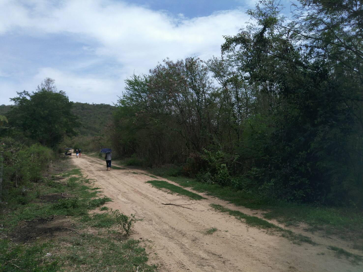 ห้เช่าที่ดินหลังศาลจังหวัดหัวหิน เนื้อที่ประมาณ 10 ไร่ สามารถแบ่งเช่าได้