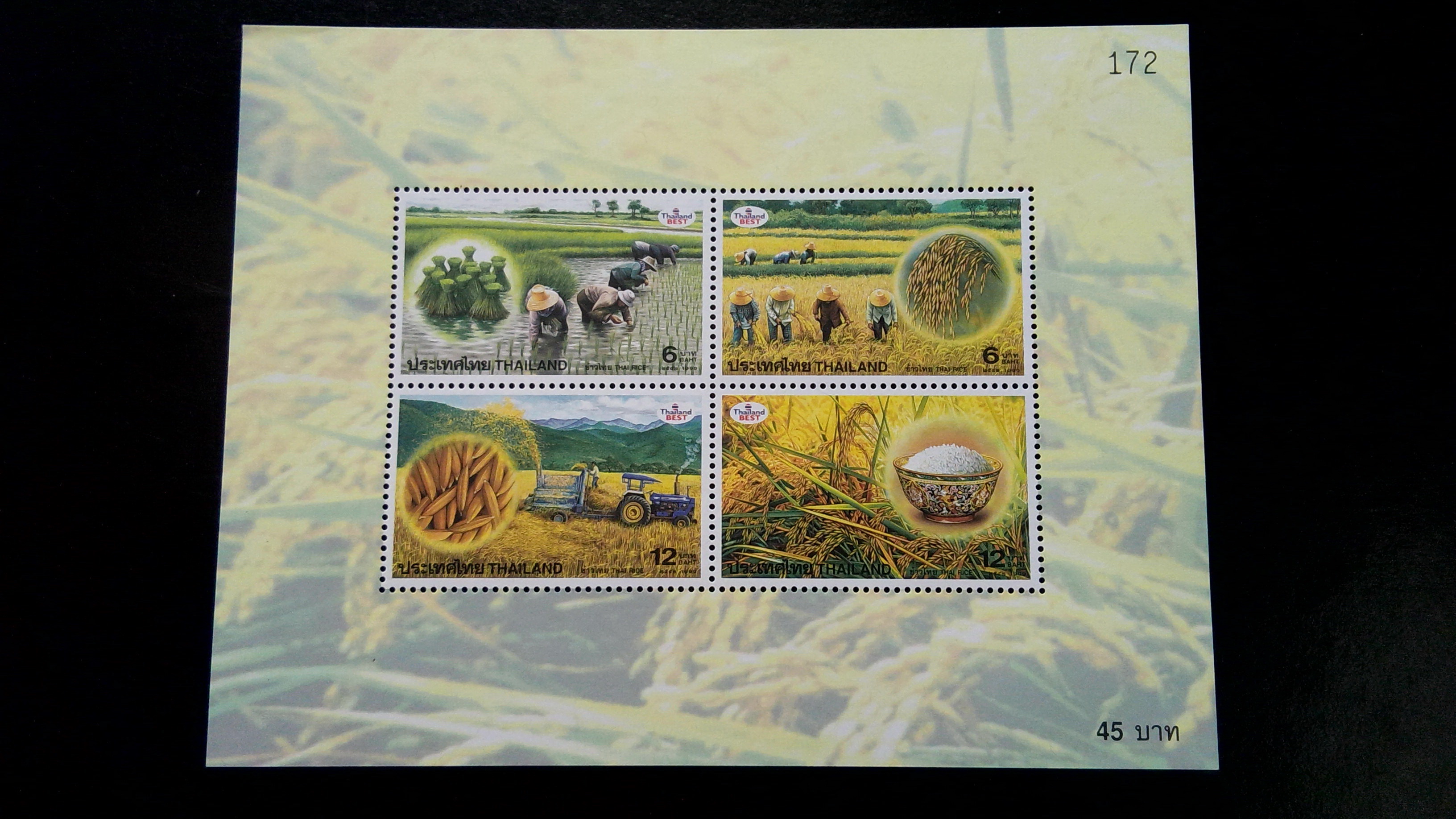 ชีท ชุด ข้าวไทย