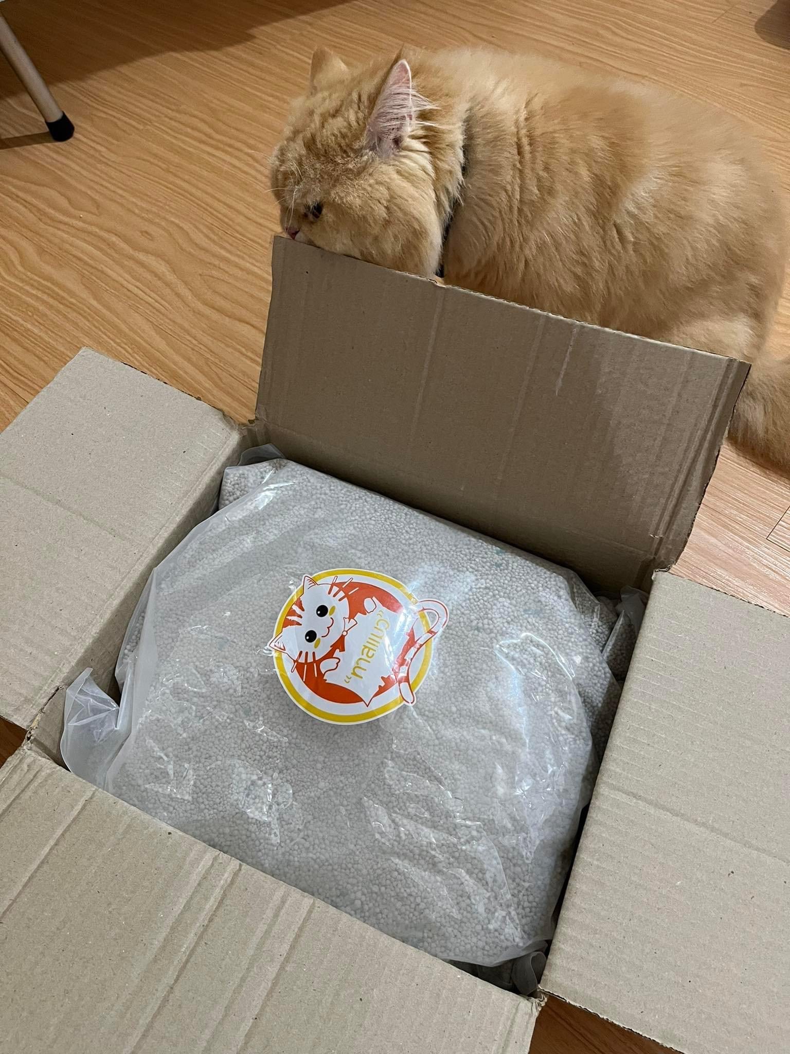 ทรายแมว เบนโทไนท์ ทาสแมว กลิ่นแอปเปิ้ล 8kg.