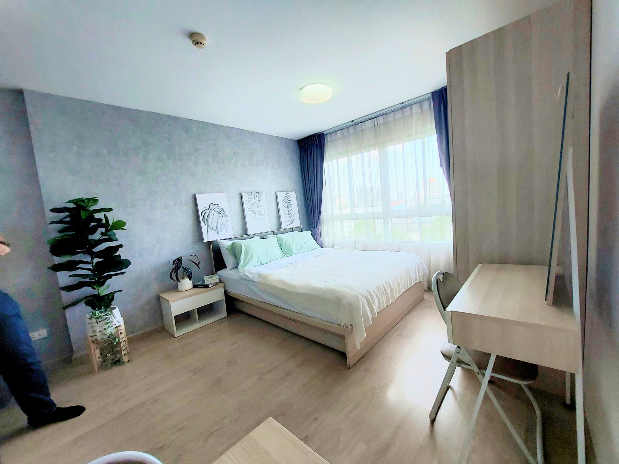 ให้เช่าคอนโด ELIO DEL RAY Sukhumvit 64 เอลลิโอ เดล เรย์ สุขุมวิท 64 คอนโดสไต์รีสอร์ท 1 ห้องนอน 1 ห้องครัว (แยกครัวชัดเจน)