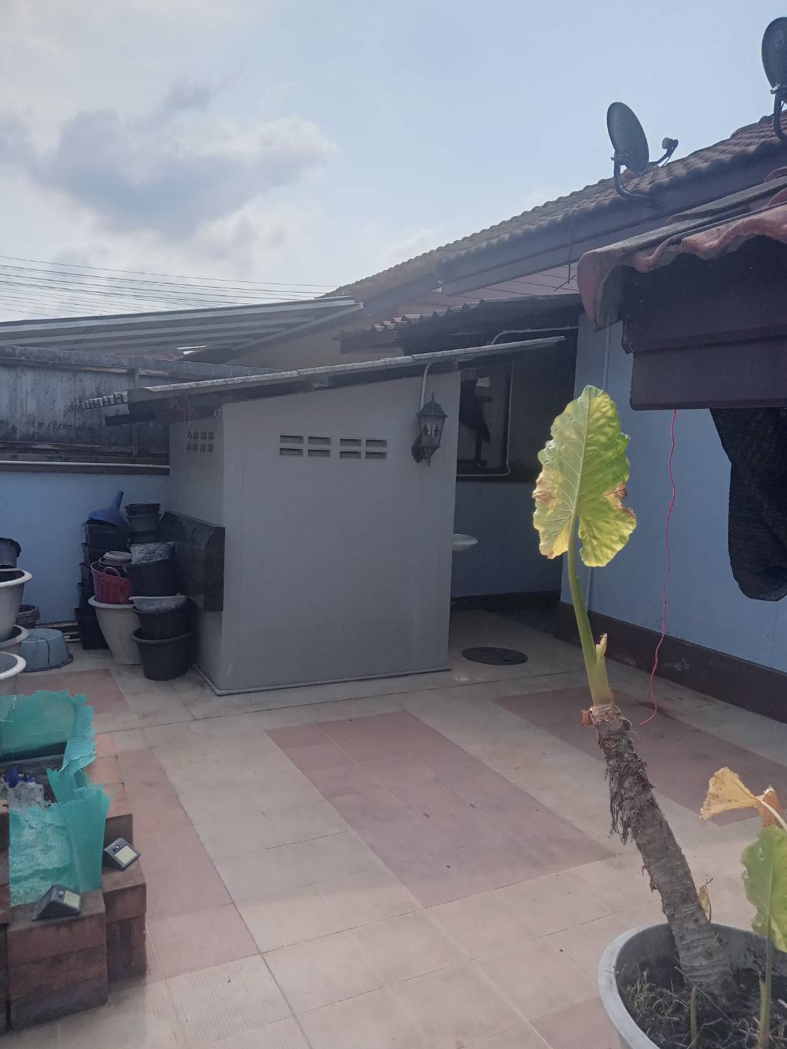 ขายบ้านเดี่ยวชั้นเดี่ยวโครงการ หมู่บ้านเพชรลดา บ้านฉาง เนื้อที่ 52 ตรว มี 3 ห้องนอน 2 ห้องน้ำ