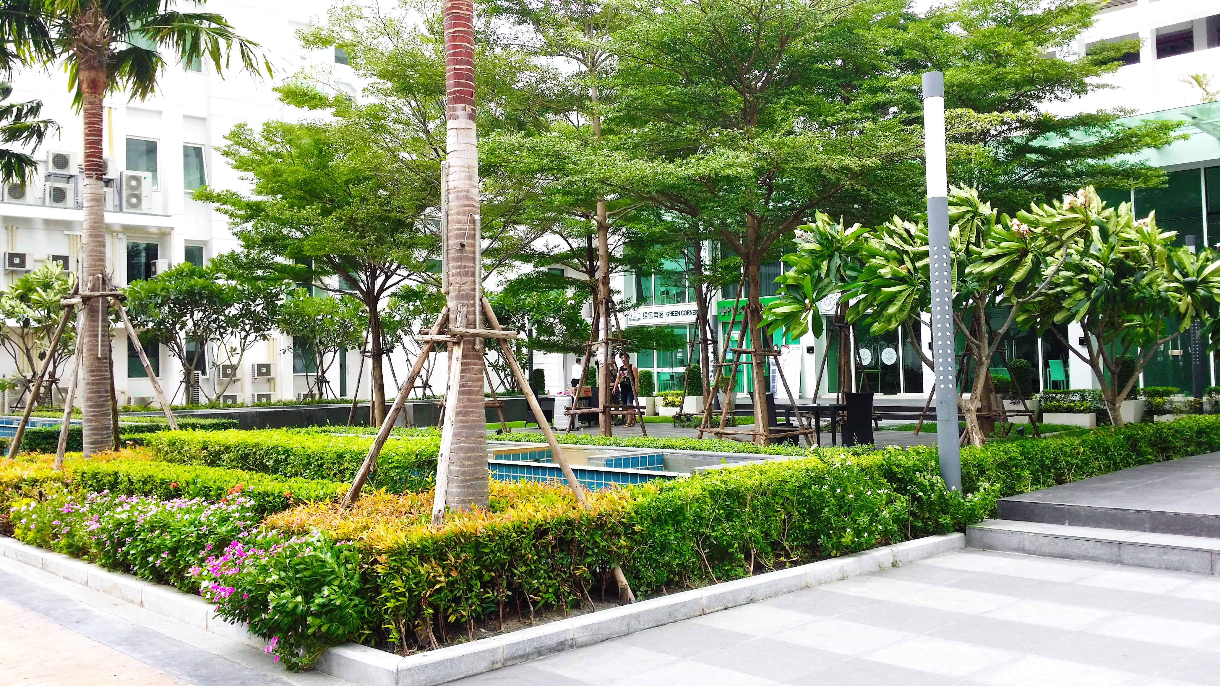 ขาย / เช่า คอนโด ทีซี กรีน พระราม 9 TC Green Rama 9 ห้องมุม 1 นอน 1 น้ำ ขนาด 37.97 ตารางเมตร