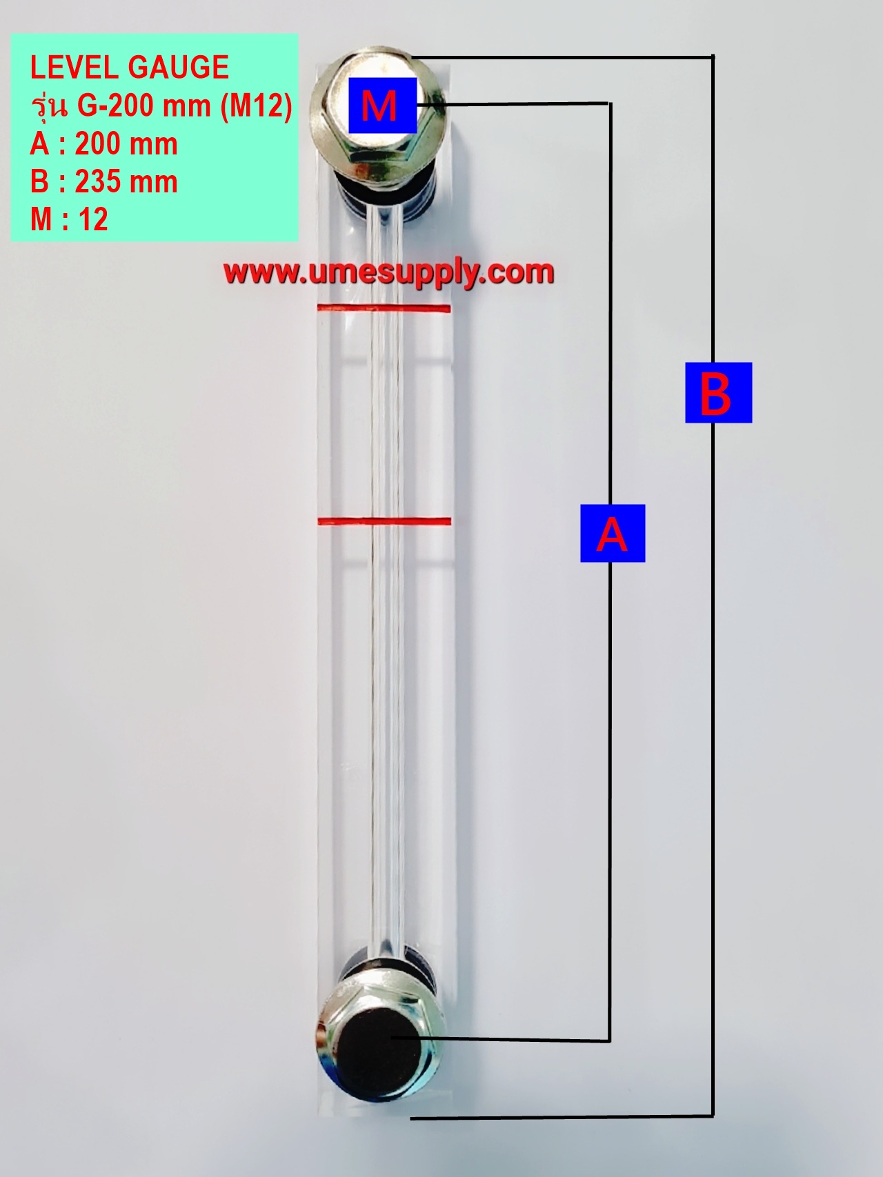 เกจวัดระดับน้ำมัน (LEVEL GAUGE ) Model : G-200 (M12) (Screw AirCompressor)