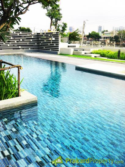 ให้เช่าคอนโด D Condo Charan - Bangkhunnon (ดี คอนโด จรัญฯ - บางขุนนนท์) 1ห้องนอน 1 ห้องน้ำ