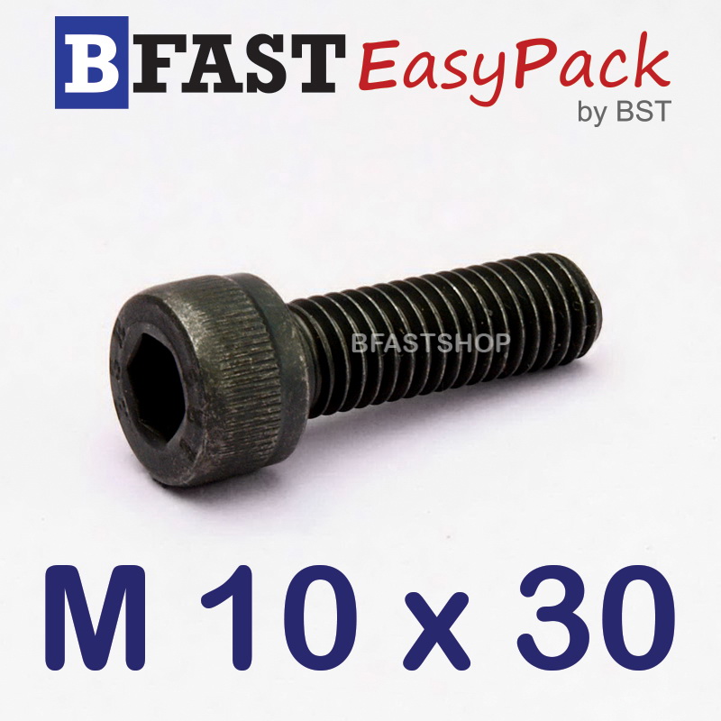 สกรูหัวจมดำ M 10 x 30 (5 ตัว/ถุง) *เกลียวตลอด*