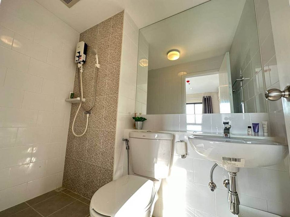 ขาย / เช่า คอนโด Plum Condo Central Station (พลัม คอนโด เซ็นทรัล สเตชั่น) 1 ห้องนอน 1 ห้องน้ำ ขนาด 24 ตร.ม.