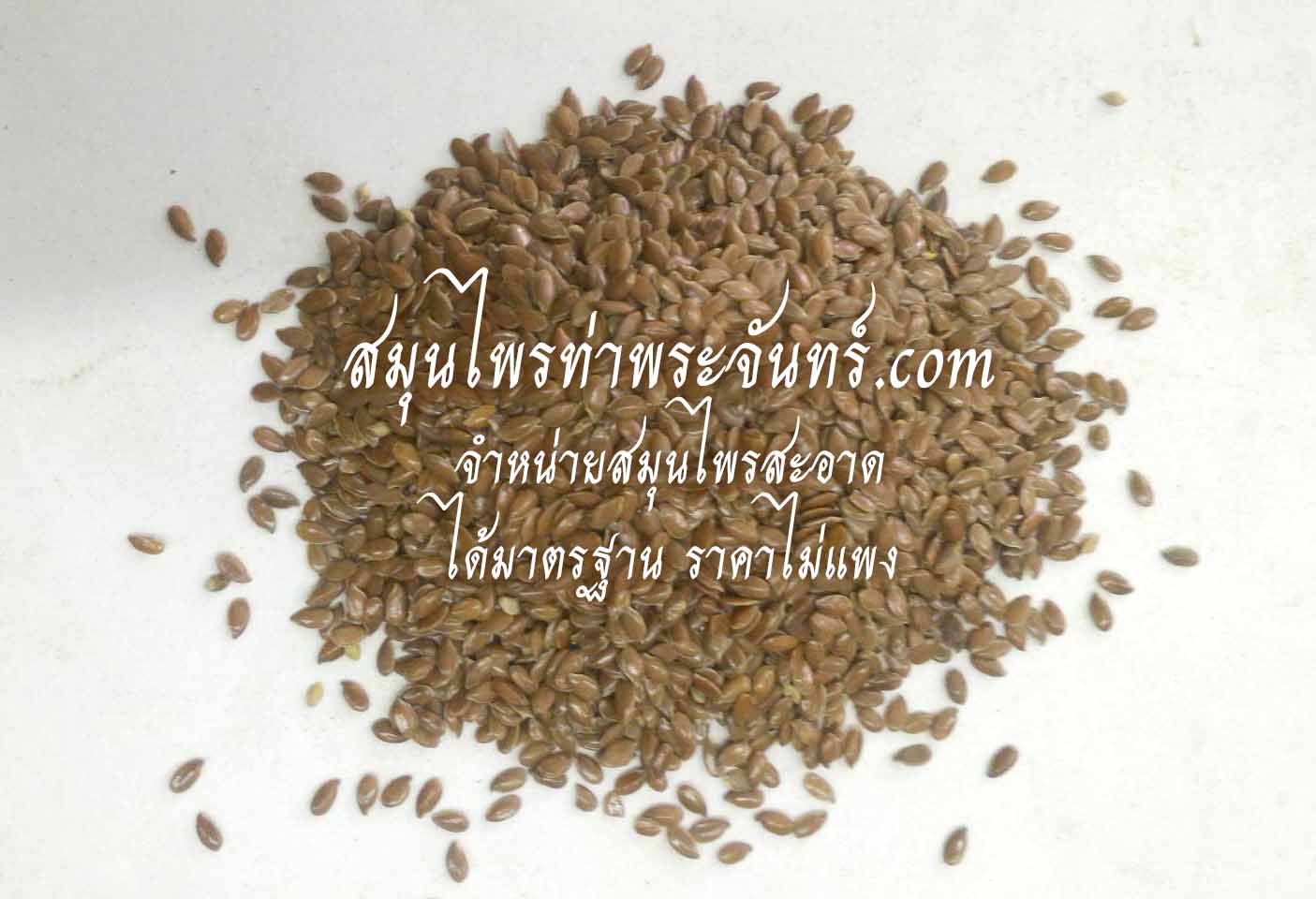 สมุนไพรเมล็ดแฟลกซ์ / แฟล็กซีด / แฟลกซีด / แฟลกซ์ซีด / เมล็ดแฟล็ก / แฟล็กซ์ซีด / flax seed / flaxseed