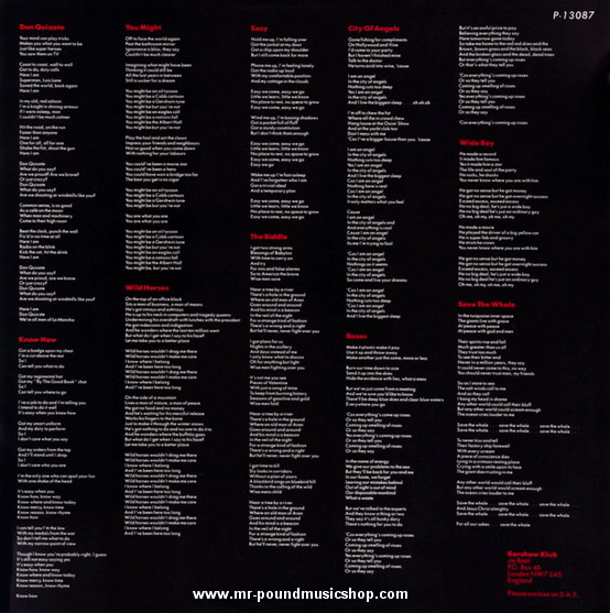 Nik Kershaw - The Riddle